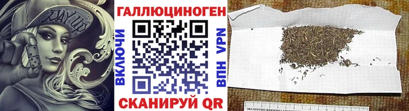 Псилоцибиновые грибы MAGIC MUSHROOMS где купить наркоту Осташков